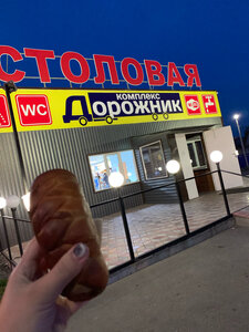 Дорожник Сызрань