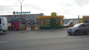 Подорожник Новосибирск