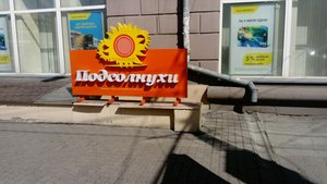 Подсолнухи Новосибирск