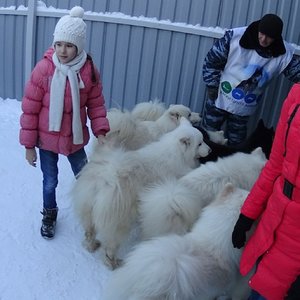 Аквилон