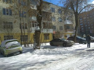 Золотой бамбук Екатеринбург