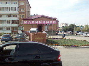 Малинники