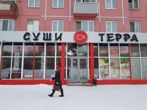 Суши Терра